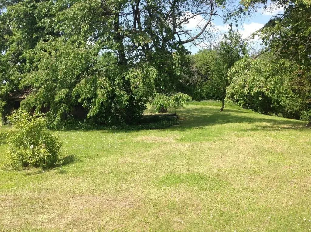 Les Jardins de la Tuilerie - Miniature 8