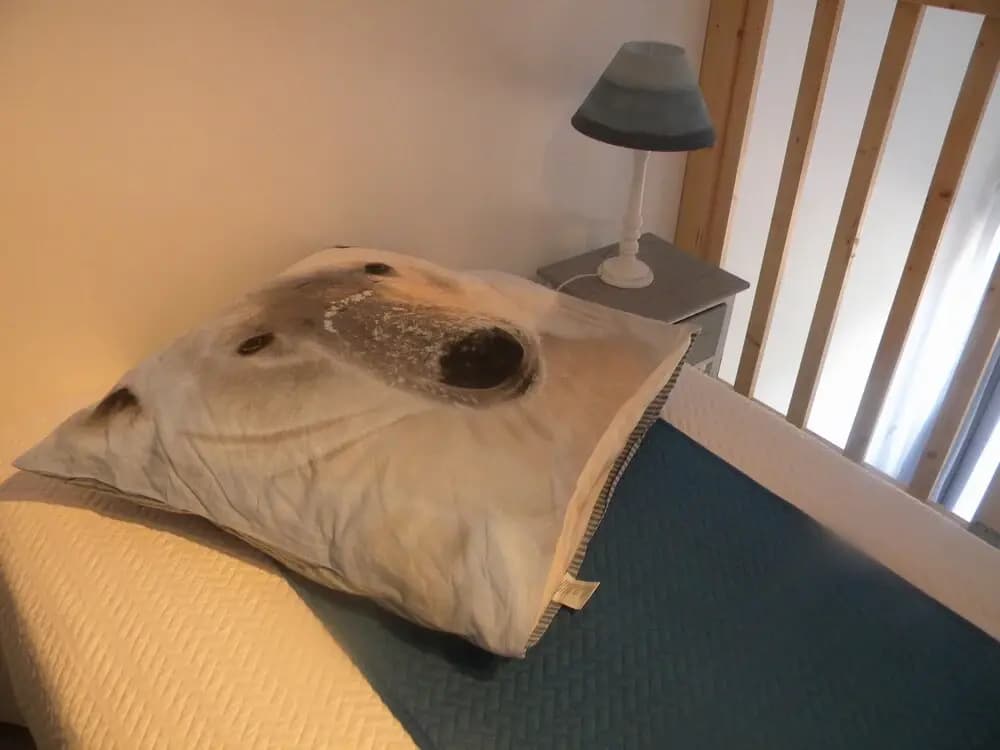 Chambres d'hotes Le Mas Castel - Photo 3