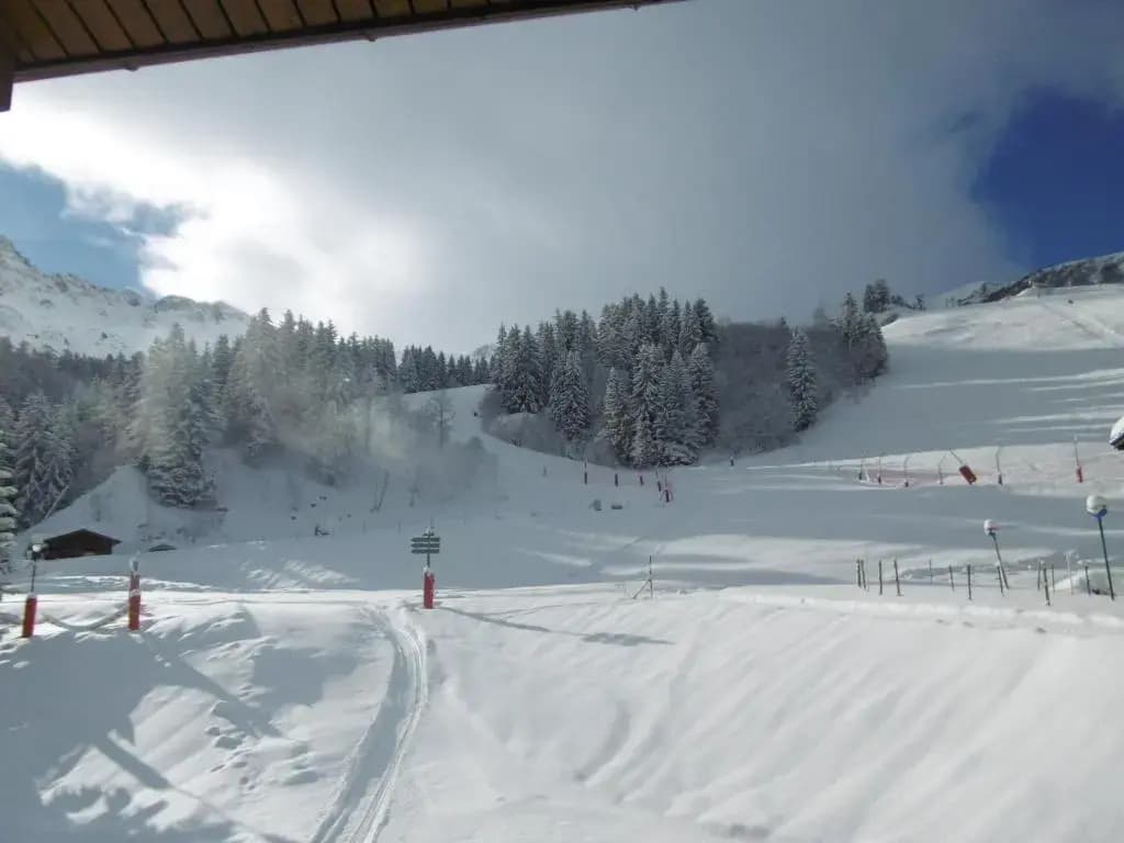 Appartement Valmorel, 2 pièces, 4 personnes - FR-1-356-301 - Photo 3