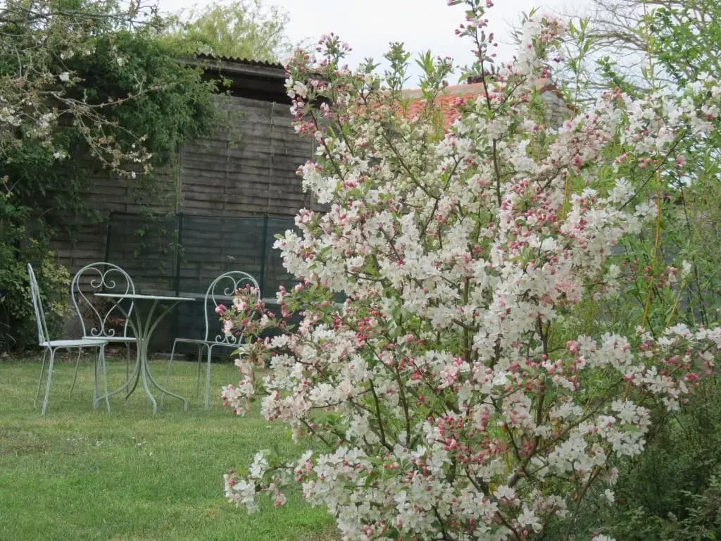 L'Aubinoise - Photo 3