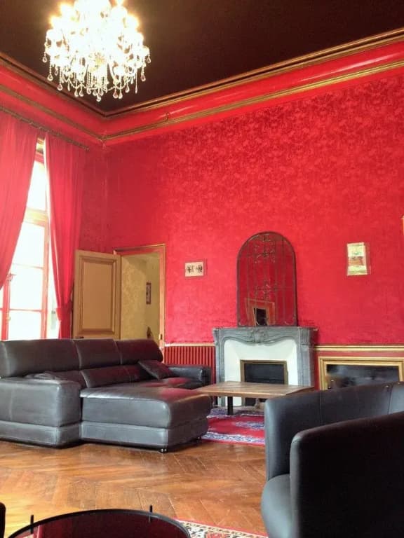 Chateau de la Plaudiere - Photo 2