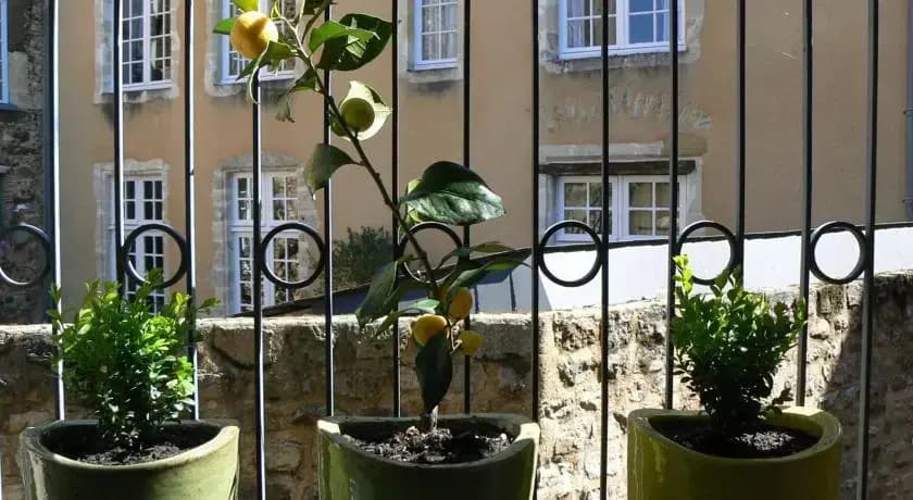 Appartement Louis Blanc - Photo 4