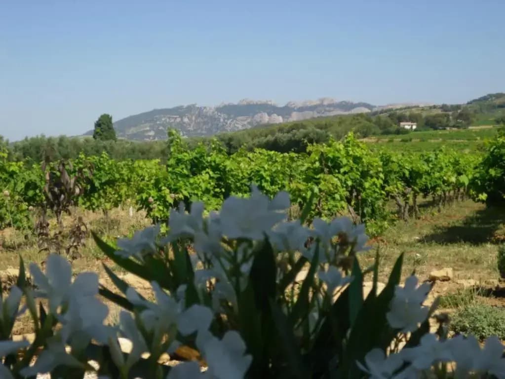 La Dentellière - Photo 2