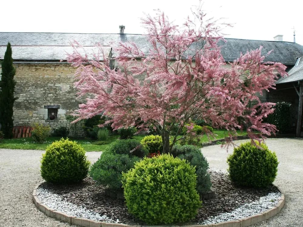 Gite de la Maricé - Miniature 7