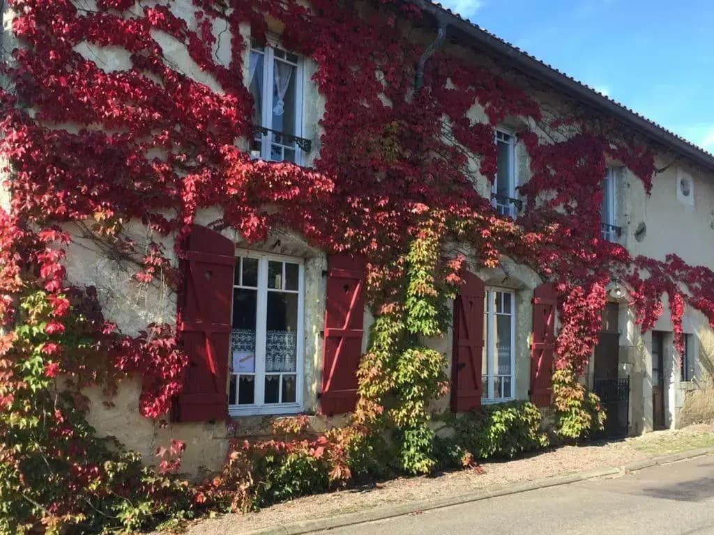 La Maison De Marie-Claire - Photo 1