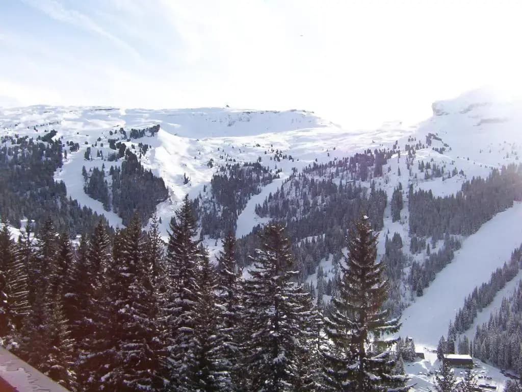 Appartement Flaine, 2 pièces, 4 personnes - FR-1-425-184 - Miniature 7