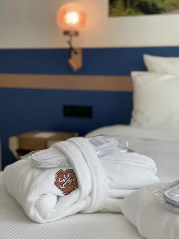 Hotel SPA Husseren Collections - Proche Colmar - Eguisheim - Photo 3
