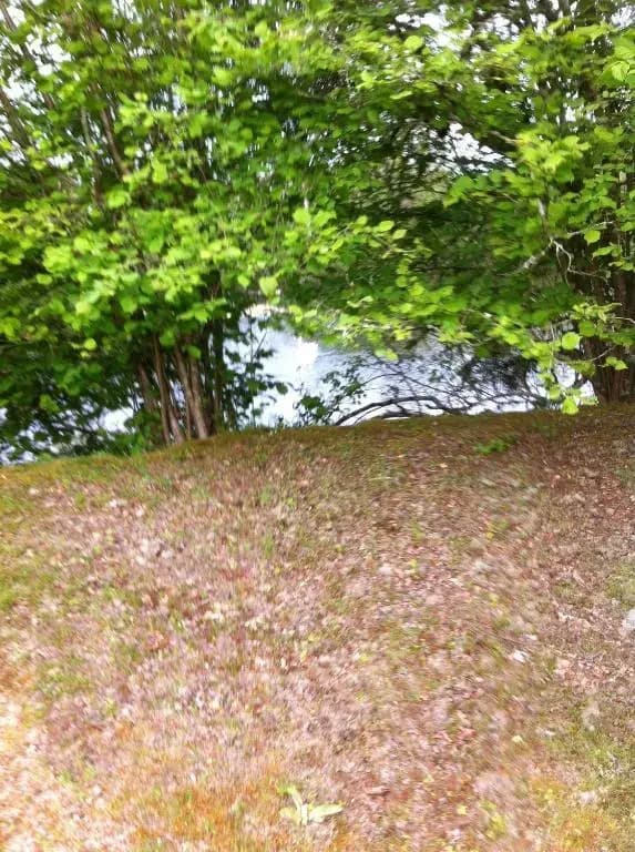 Chambre d'Hôtes Dyrslot - Photo 3