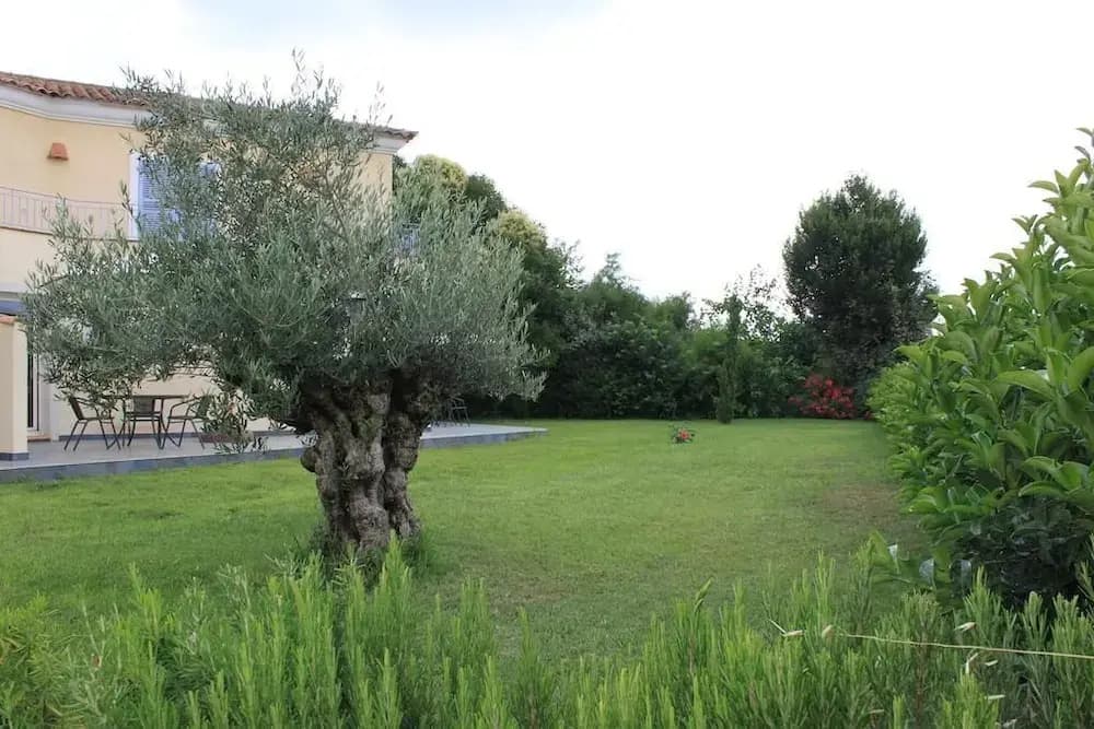 E Cabanacce - Miniature 7