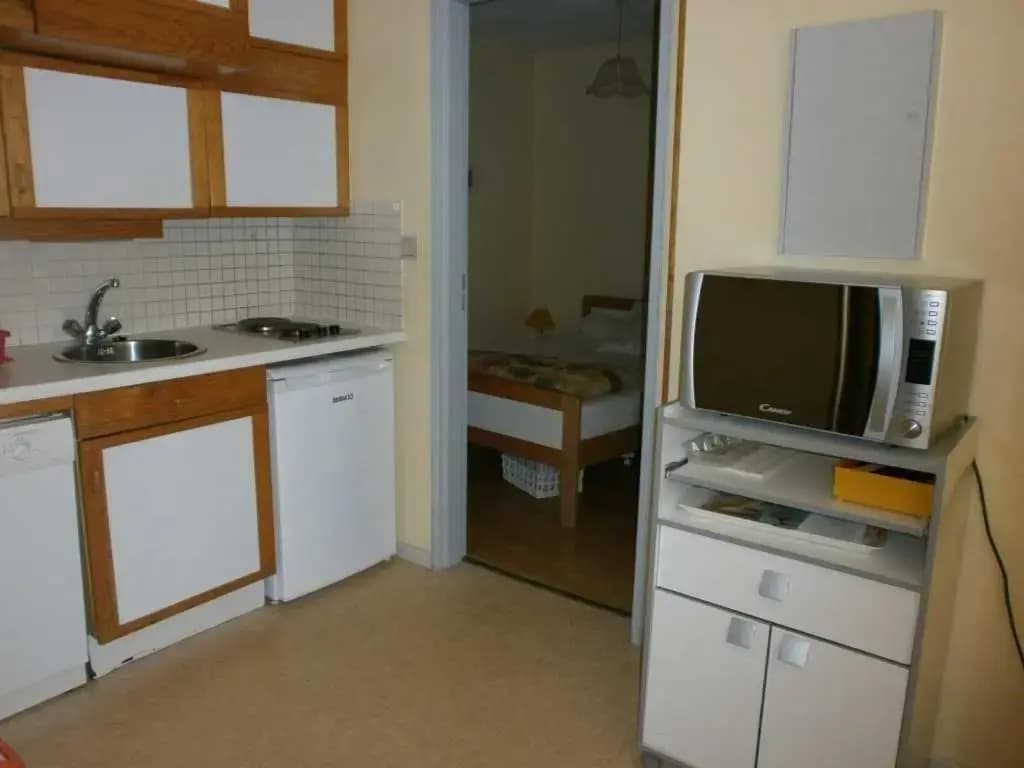 Appartement Saint-Lary-Soulan, 2 pièces, 6 personnes - FR-1-457-230 - Miniature 8