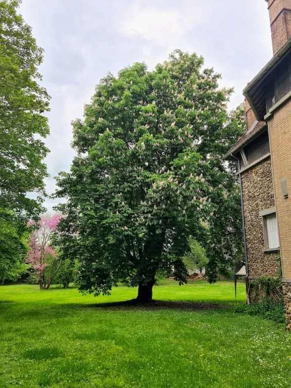 Demeure du saule Madame - Photo 1