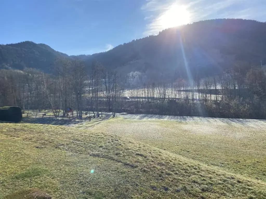 Appartement Praz-sur-Arly, 1 pièce, 4 personnes - FR-1-603-31 - Miniature 8