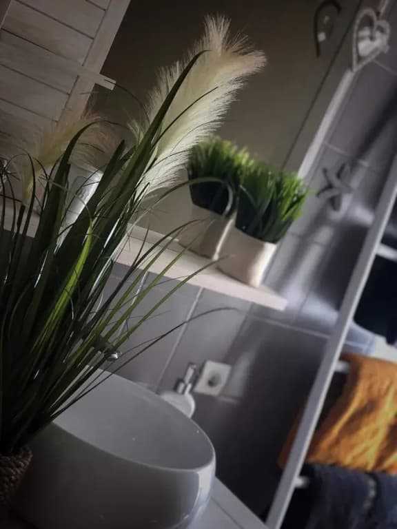 Sous les toits du Zinc - Climatisé - Miniature 7