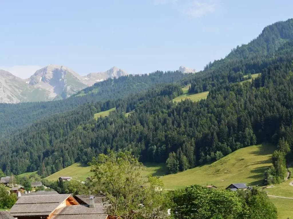 Appartement Le Grand-Bornand, 2 pièces, 5 personnes - FR-1-241-101 - Miniature 7