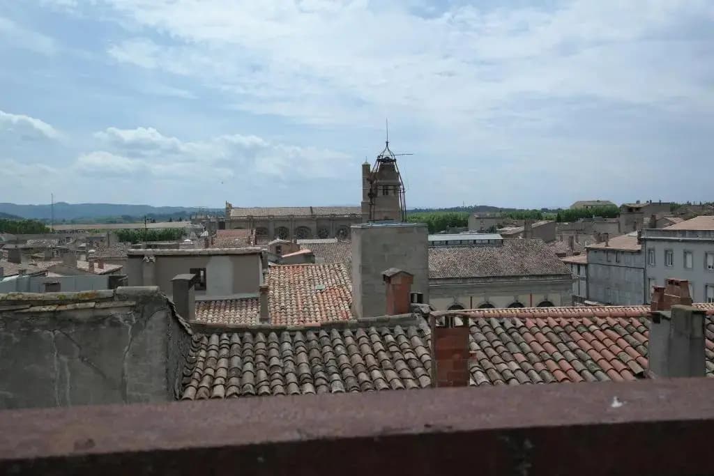 Penthouse Apartment overlooking Place Carnot - Photo 3