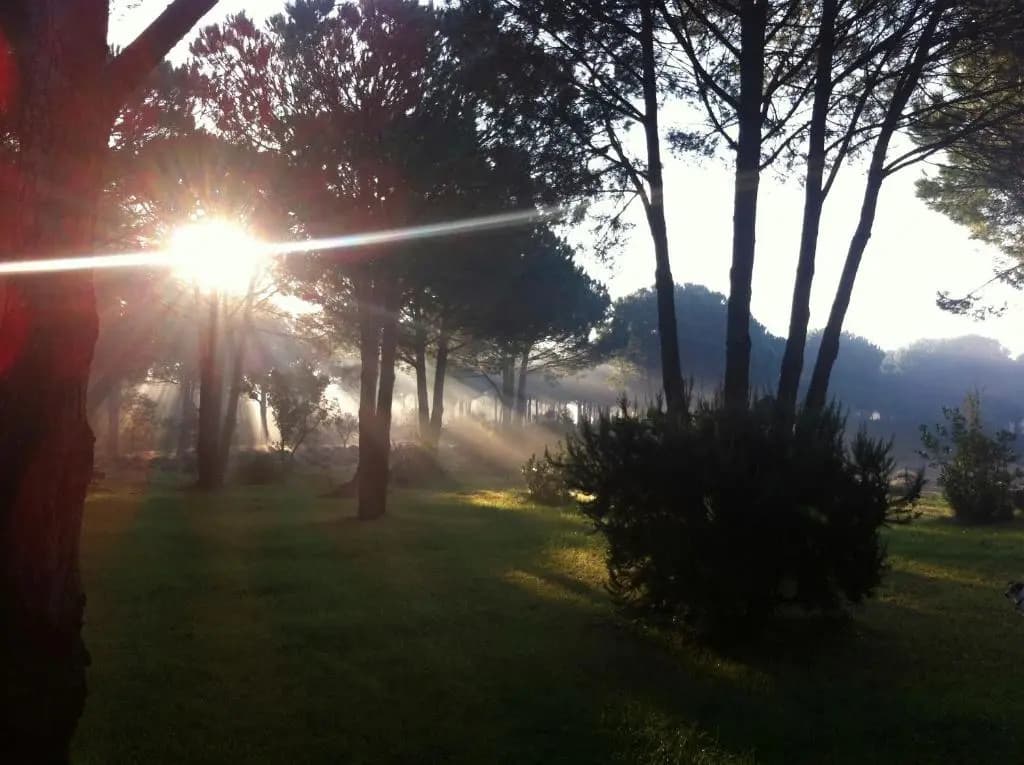 Campagne les Jumeaux - Photo 3