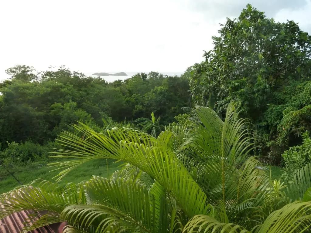 Malendure Bay Appartements - Photo 3