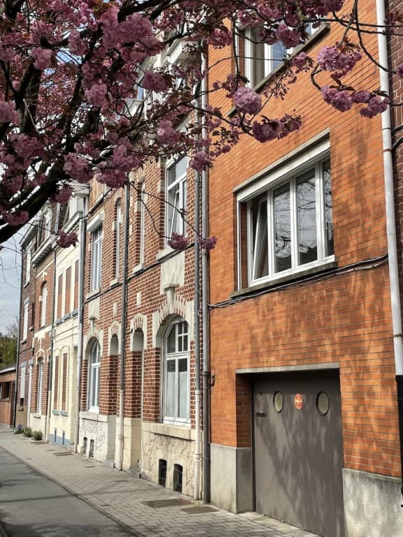 Belle maison avec grand jardin et garage - Photo 1