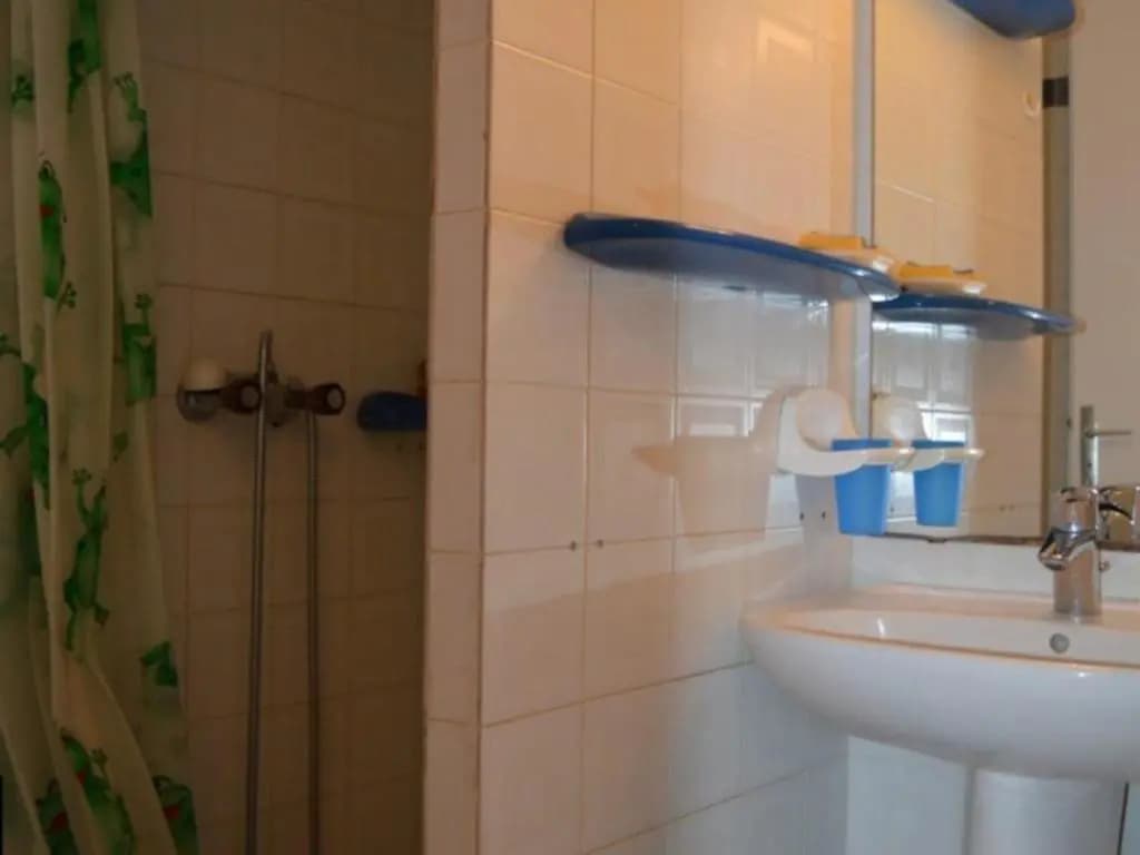 Appartement Saint-Cyprien, 2 pièces, 6 personnes - FR-1-225D-65 - Miniature 7