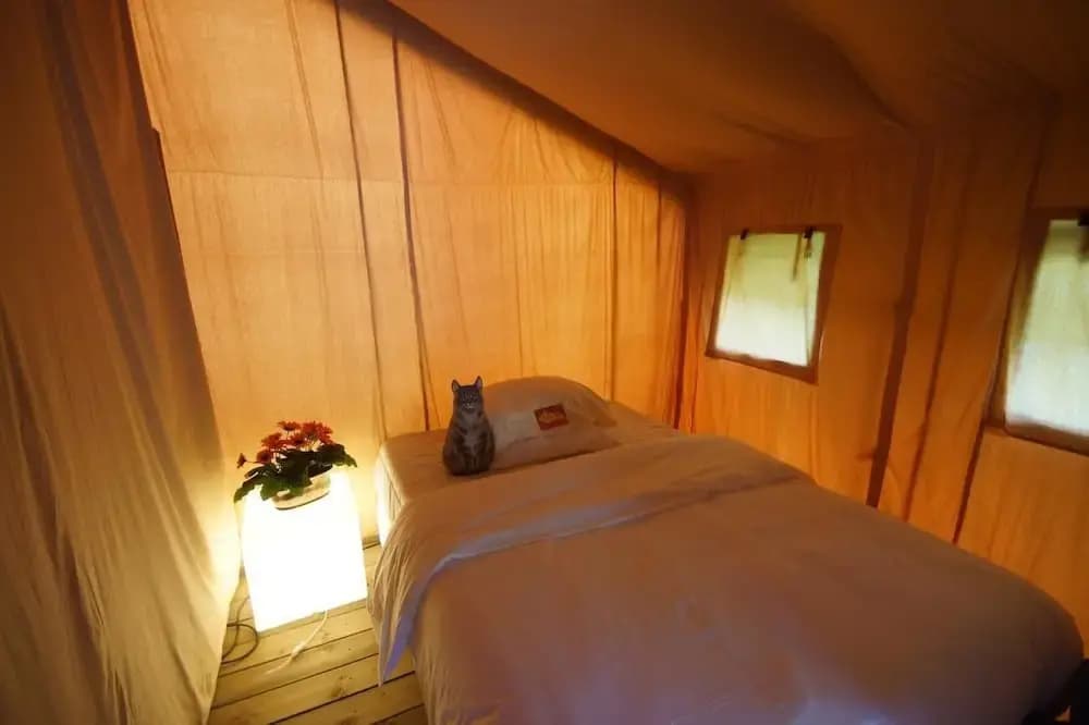 Camping Le Rotja - Photo 4
