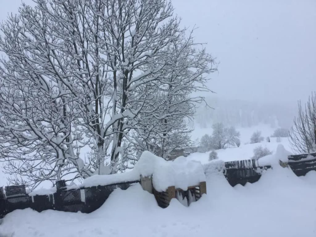La Chaumière - Photo 5