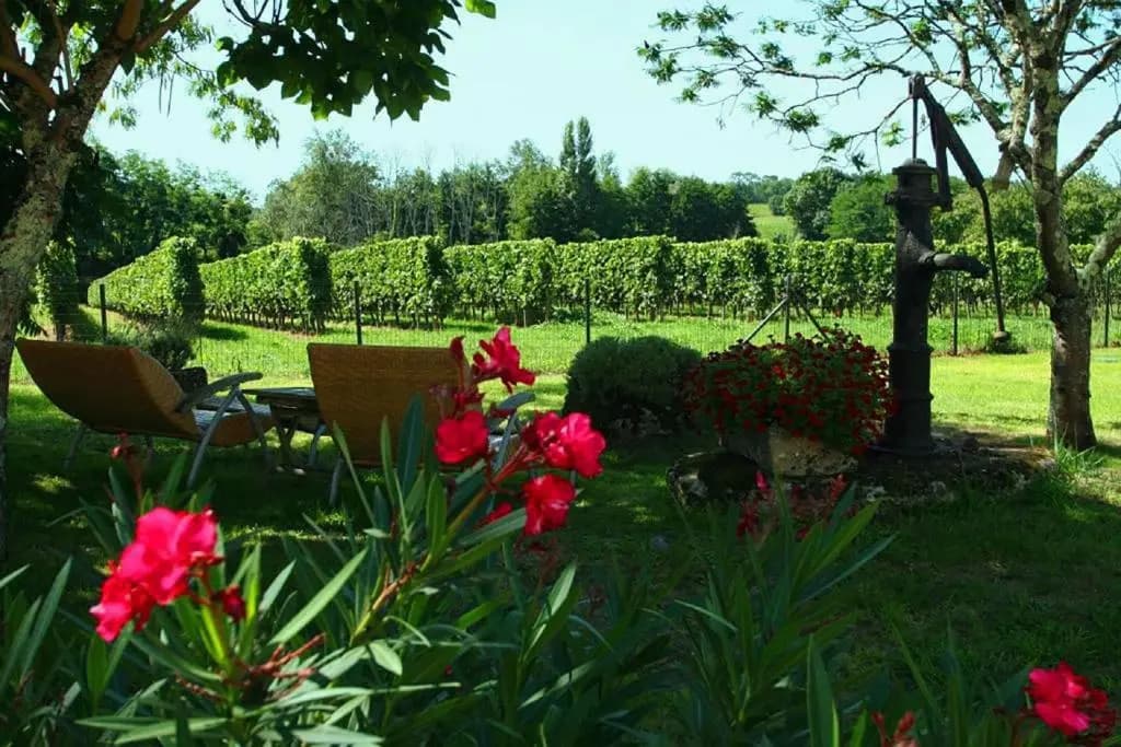 Bed & Breakfast / B&B / Chambre d'hôtes Bleu Raisin - Saint-Emilion - Miniature 8