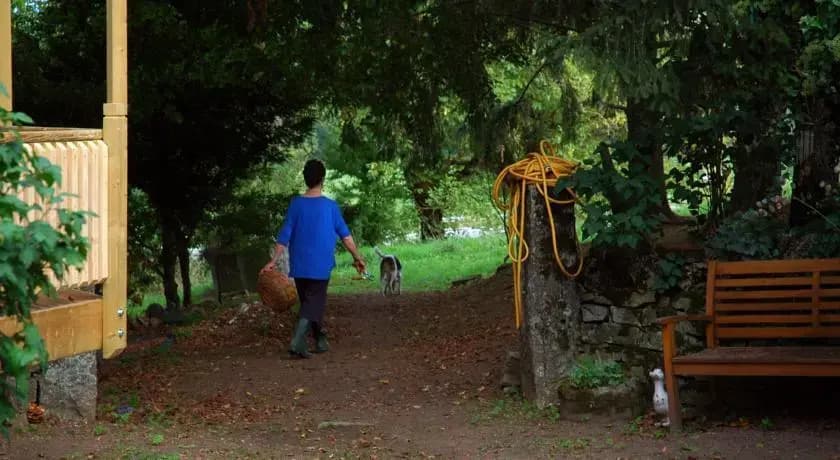 La Maison de Papillon - Photo 4