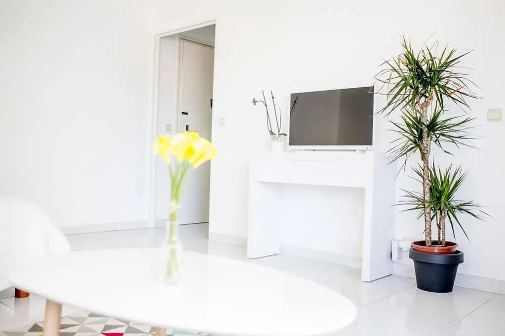 A Flat in Cannes - Photo 3