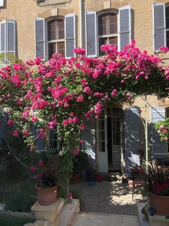 B&B Coup de Coeur - Photo 1