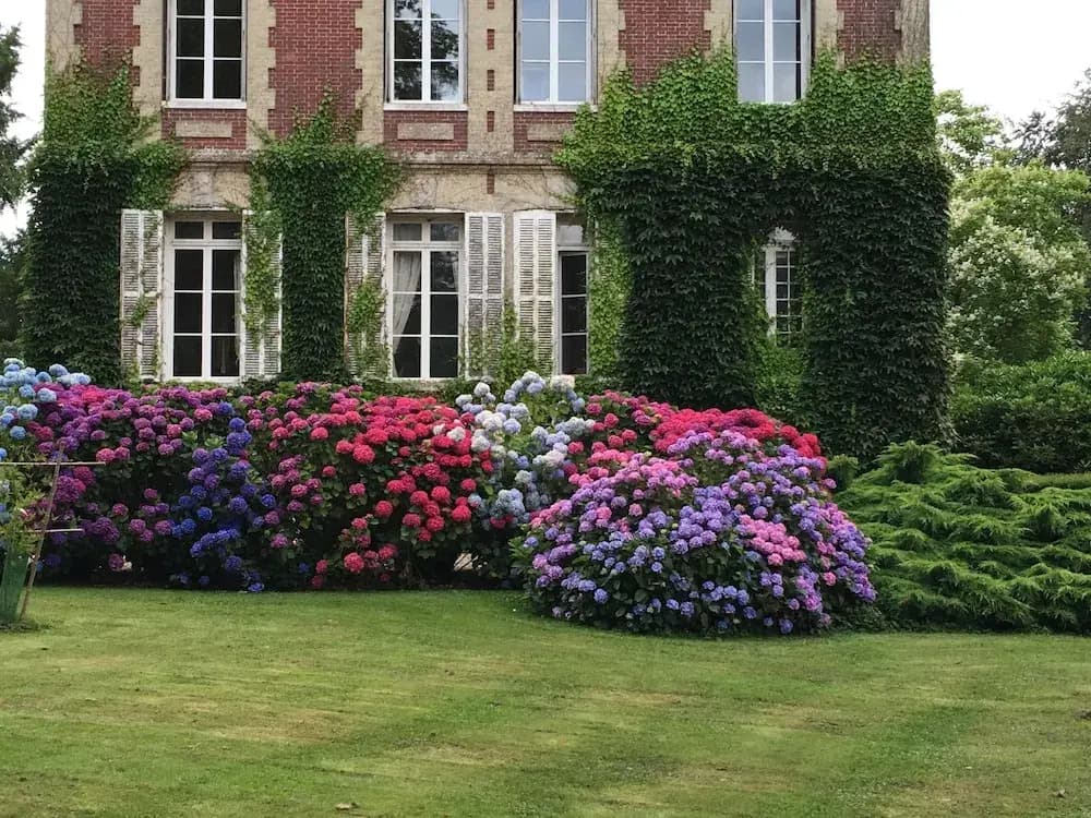Domaine Château de Bourville - Photo 1
