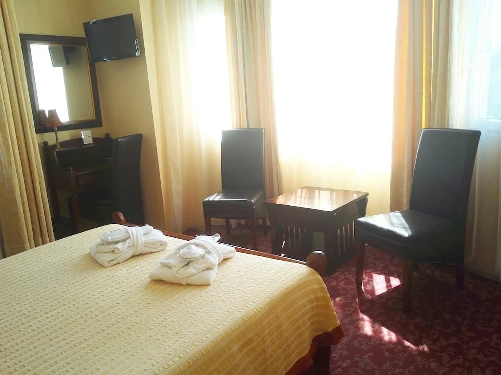 Hotel Alexandre III - Photo 2