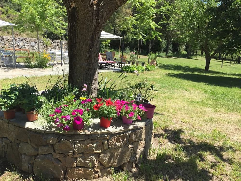 Camping Ernella - Photo 1