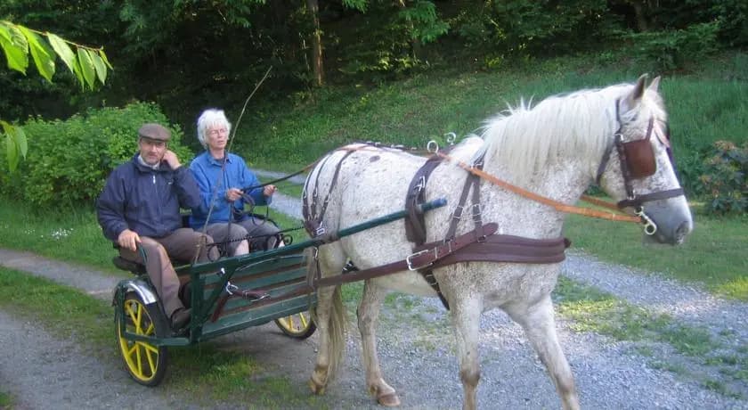 Au Fief des Amis du Mont - Photo 2