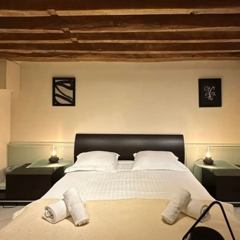 Charming Tuileries 1 Bed Apt in the Centre of Paris - Miniature 6