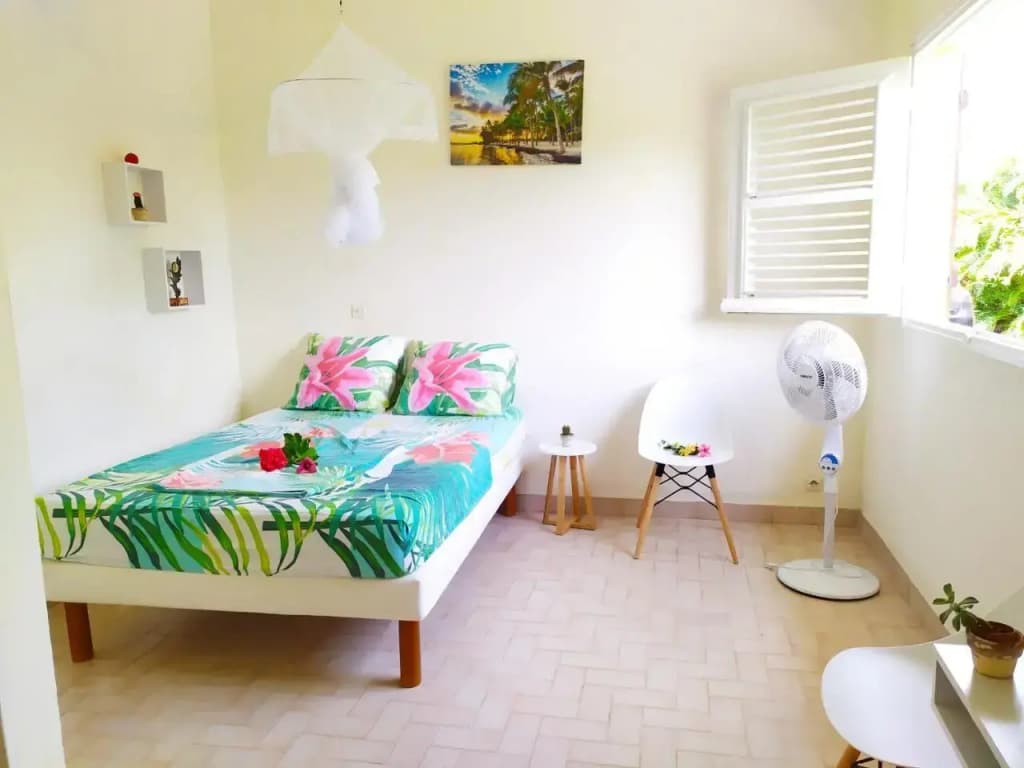 Studio Goyave - Miniature 8