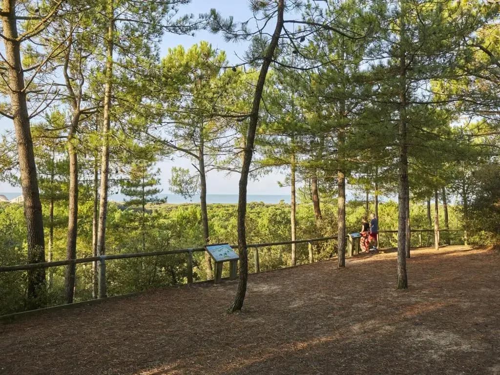 Maison Saint-Jean-de-Monts, 3 pièces, 6 personnes - FR-1-323-69 - Photo 3