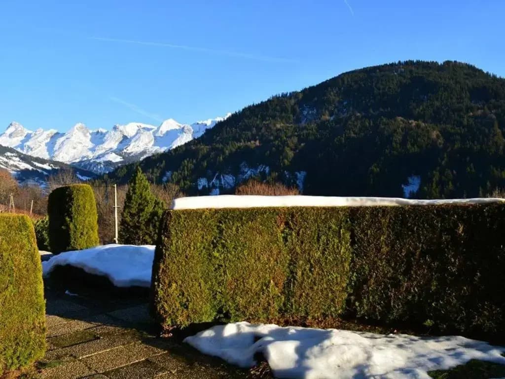 Appartement Le Grand-Bornand, 3 pièces, 6 personnes - FR-1-241-100 - Miniature 8