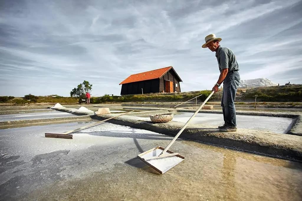 Maison pour 8 personnes au cœur de la Sauzaie et à 600 m de la plage - Miniature 8