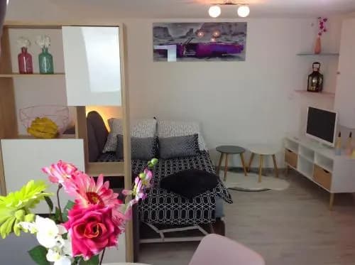 Appartement Triplex - Photo 3