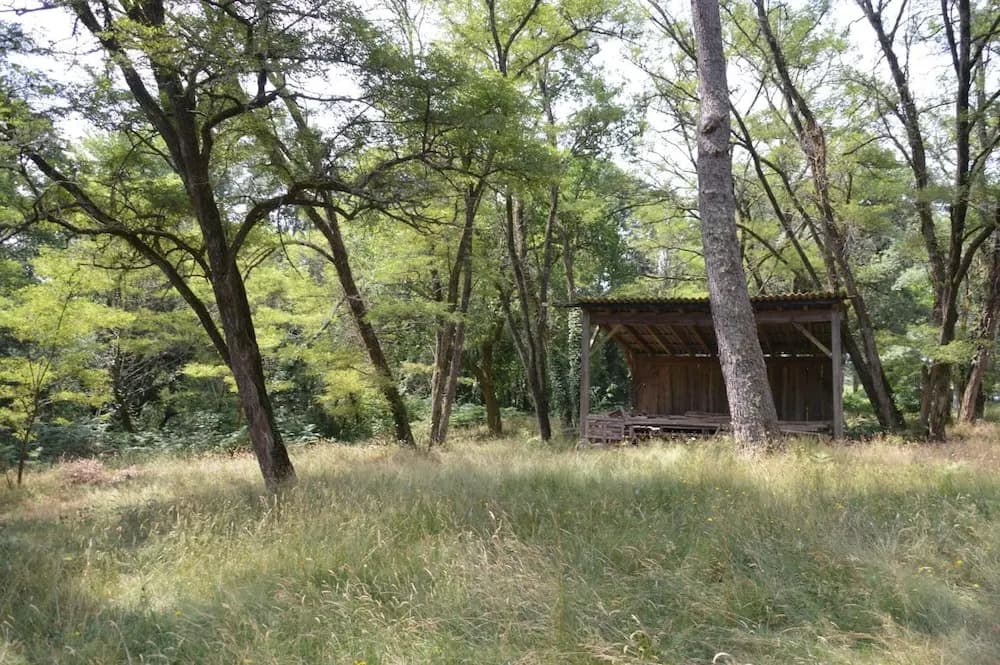 Le Moulin Vieux - Photo 5
