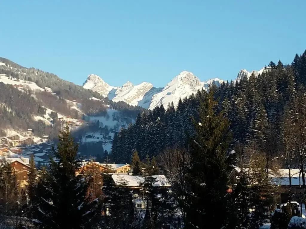 Appartement Le Grand-Bornand, 2 pièces, 6 personnes - FR-1-241-111 - Miniature 7