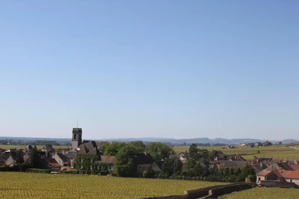 Ces Jours À Pommard - Photo 3