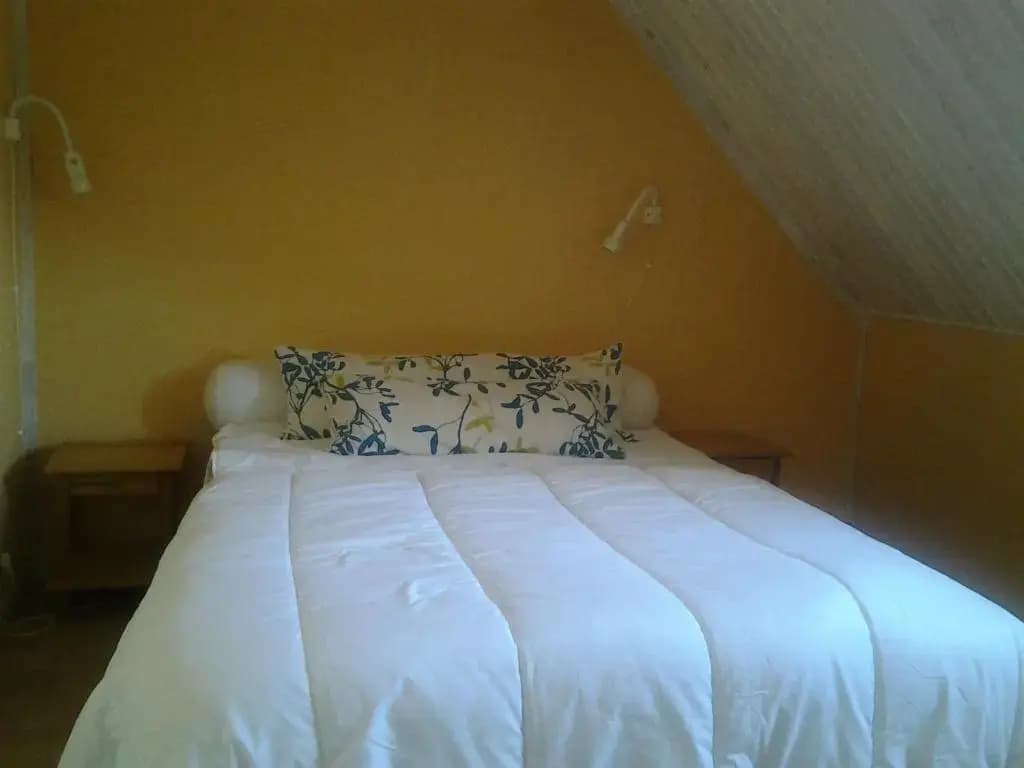 Jervl - Photo 2