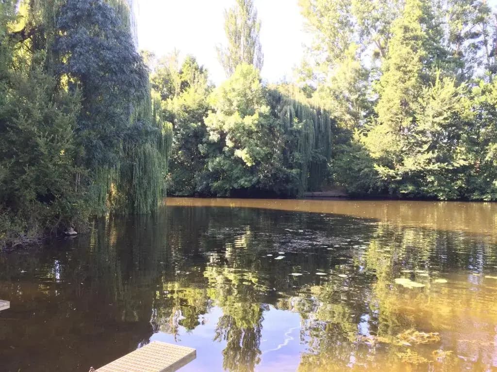 La douceur Angevine - Photo 3