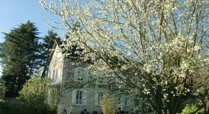 Villa Magnolia - Photo 4