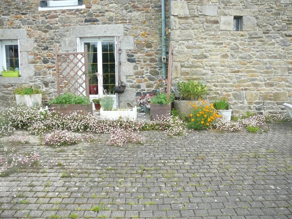 Kerbarbo - Photo 1
