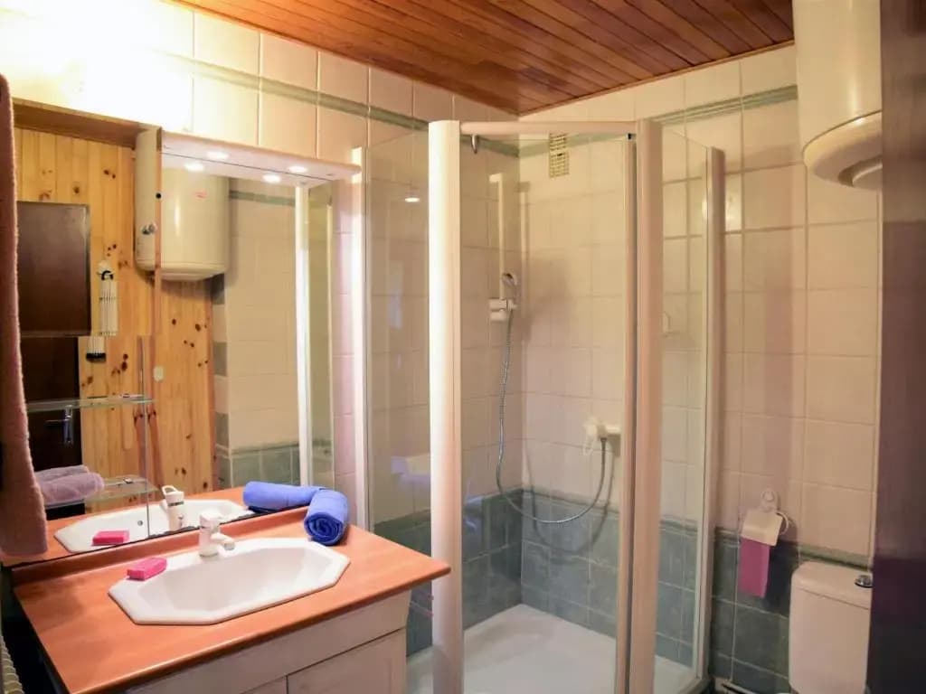 Appartement Les Deux Alpes, 1 pièce, 4 personnes - FR-1-516-47 - Photo 5
