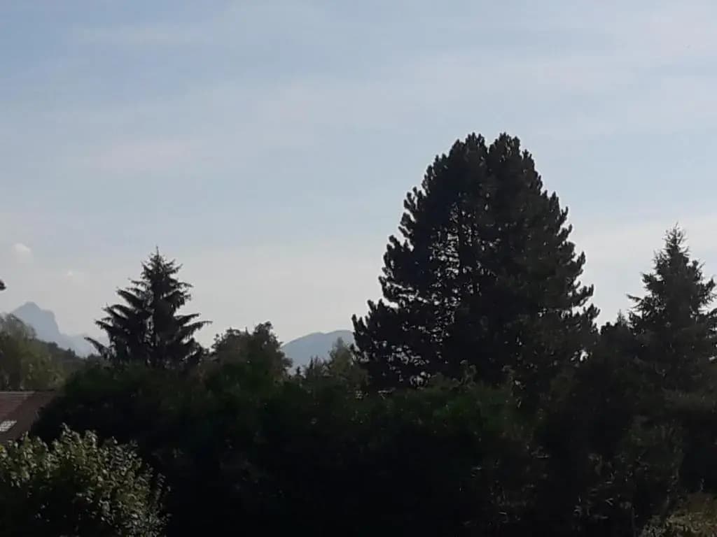 Le clos Langin - Miniature 7