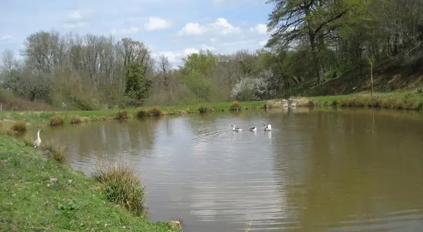 Gite Les Mathieux - Photo 5
