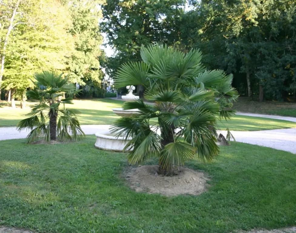 Estate in Pyrenees With Pool and Golf Nearby - Miniature 8
